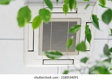 Cassette Air Conditioner On Ceiling In Modern Light Office Or Apartment With Green Ficus Plant Leaves. Indoor Air Quality And Clean Filters Concept