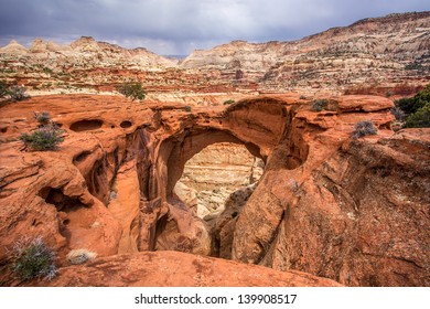 Cassidy Arch In Capitol Reef