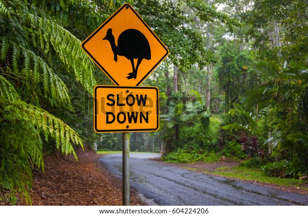 Cassowary road warning sign, Kuranda,\
Queensland, Australia