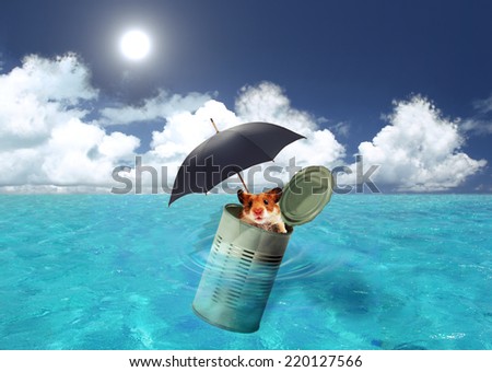 cast away
