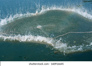 Cast Net Fishing