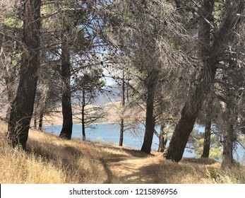 Castaic Lake Scenery