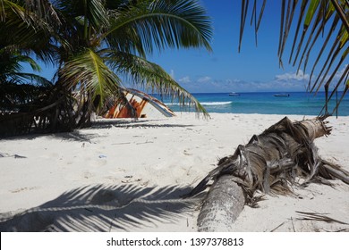 castaways on the desert island - Shutterstock ID 1397378813