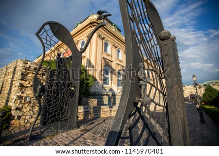 Castl gate on the Hill of Budapest,forged gates royal palace Вudapest.