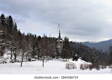 Castle between the forest trees