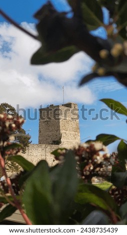 castle bulwarks leaves flowers cloudly blue sky sunny