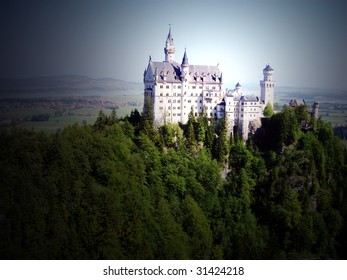 castle in the forest