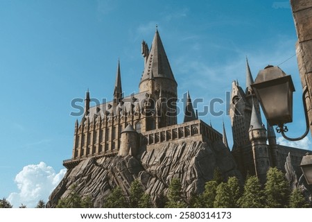 A castle in Gothic style