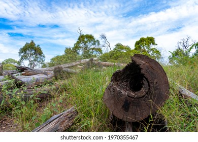 Castle Hill Blackstone Reserve In Ipswich, Queensland