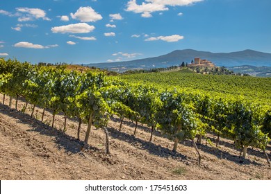 Castle Overseeing Vineyards from a Hill on a Clear Summer Day