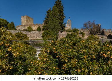 Castle in Portugal, the city of Tomar