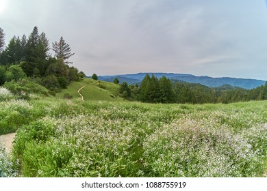 The Castle Rock State Park