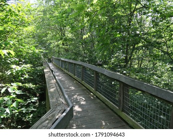 Castle Rock State Park In Summer