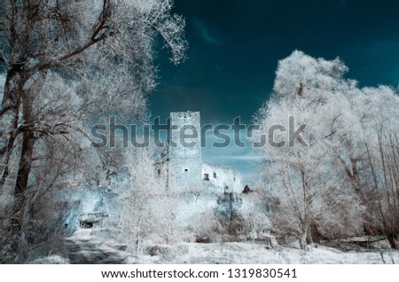 Similar – Kickelhahn Farbfoto