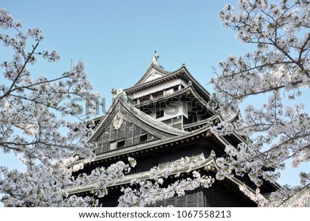 Castle tower and cherry blossom in Matsue, Shimane, Japan