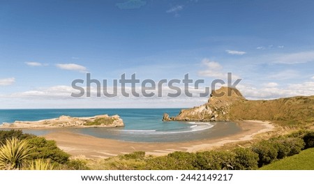 Castlepoint beach and attractions landscape
