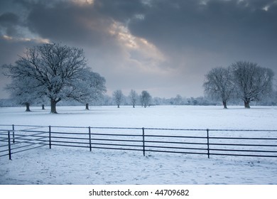 Castletown House Parkland 1