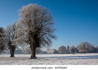 Castletown House Parkland 1