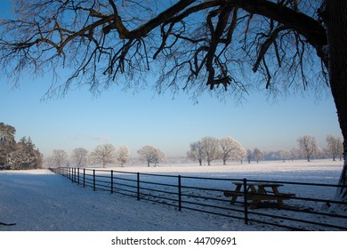 Castletown House Parkland 1