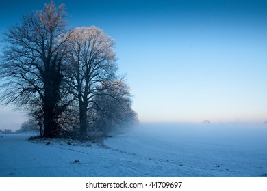 Castletown House Parkland 1