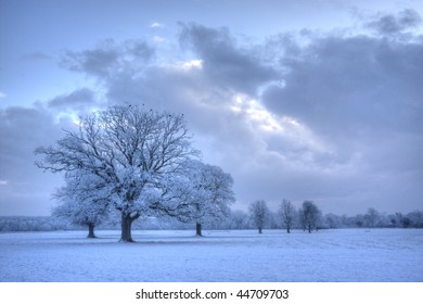 Castletown House Parkland 1