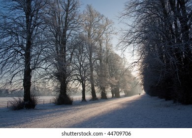 Castletown House Parkland 1