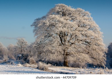 Castletown House Parkland 1