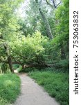 Castlewood State Park, Saint Louis County, Missouri. Trail with fallen tree across path.