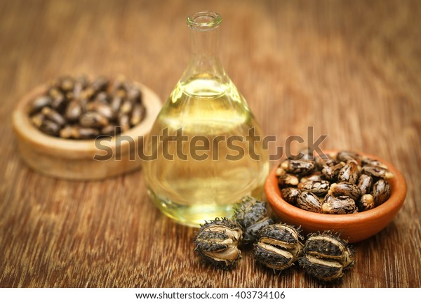 Castor beans and oil in a\
glass jar