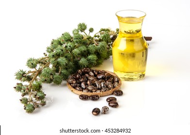 Castor Oil High Res Stock Images Shutterstock