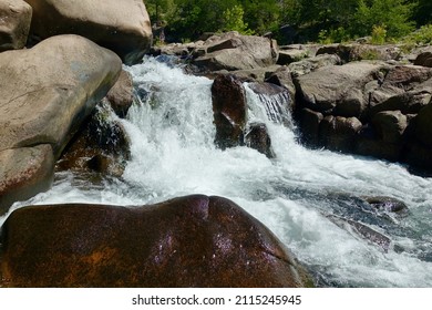 325 Johnson shut ins Images, Stock Photos & Vectors | Shutterstock