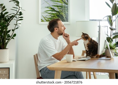 Casual Freelancer Man Taking Break From Remote Work Or Programming Playing With Cat Sit On Desk. MIllennial Businessman Relax From Stress With Fluffy Pet In Home Office. Web Designer Rest At Workplace