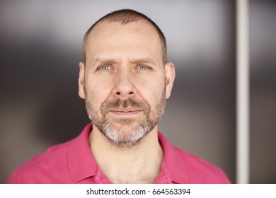 Casual Mature Man With Beard, Close Up Headshot Portrait.