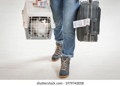Cat in the airline cargo pet carrier waiting at the airport after a long journey