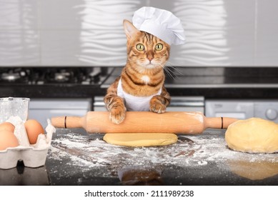 A Cat In An Apron And A Cap Rolls Out The Dough. Cooking At Home.