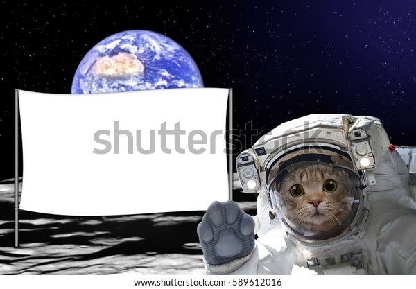 Cat\
astronaut on the moon with a banner behind him, on background of\
the globe. Elements of this image furnished by\
NASA.