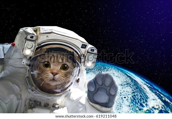 Cat astronaut in space on\
background of the globe. Elements of this image furnished by\
NASA.