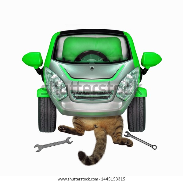 The cat auto mechanic is lying\
under the green car and fixing it. White background.\
Isolated.