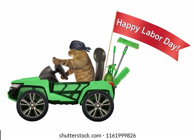 The Cat In A Bandana Is Driving A Green Car With A Red Banner 