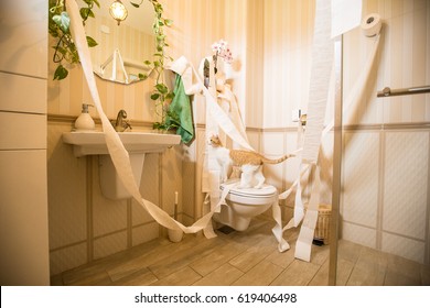 Cat In Bathroom Making A Mess With Toilet Paper