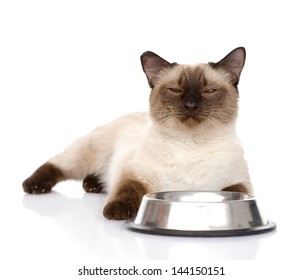 Cat begging for food.  isolated on white background - Shutterstock ID 144150151