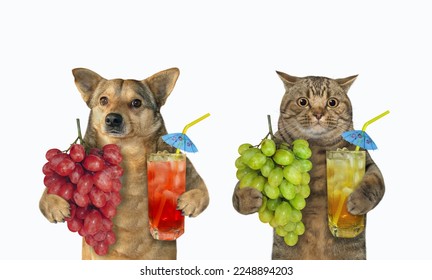 A cat and a beige dog drink fresh grape juice. White background. Isolated. - Shutterstock ID 2248894203