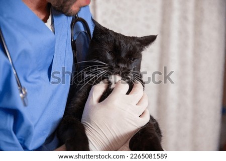 Cat being held by a veterinarian during a medical examination.