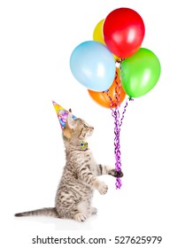 39,431 Cat Party Hat Images, Stock Photos & Vectors | Shutterstock