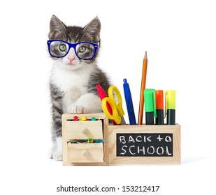 Back to School Cat Stock Photos, Images & Photography | Shutterstock