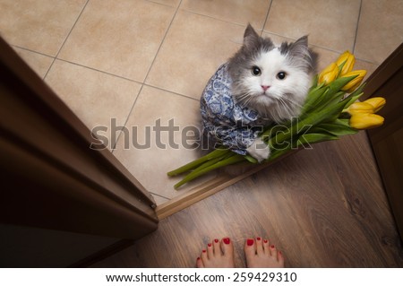 cat with a bouquet at the feet of mistress