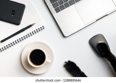 Cat Business Funny Concept. Cat's Paws Near Computer Mouse, Laptop, Coffee Cup, Mobile Phone And Notebook. White Desk.