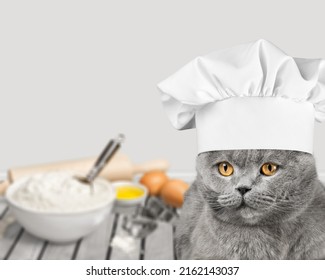 A Cat In Chef Hat With Bread Ingredient. Pet Cooking At Home.