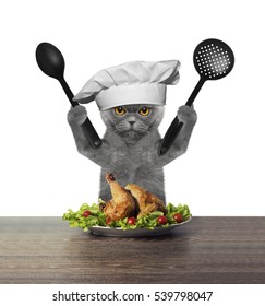 10,826 Cat Cooking Images, Stock Photos & Vectors 