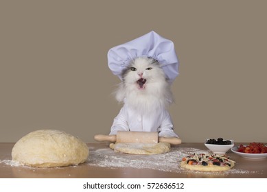 Cat Chef Preparing A Pizza